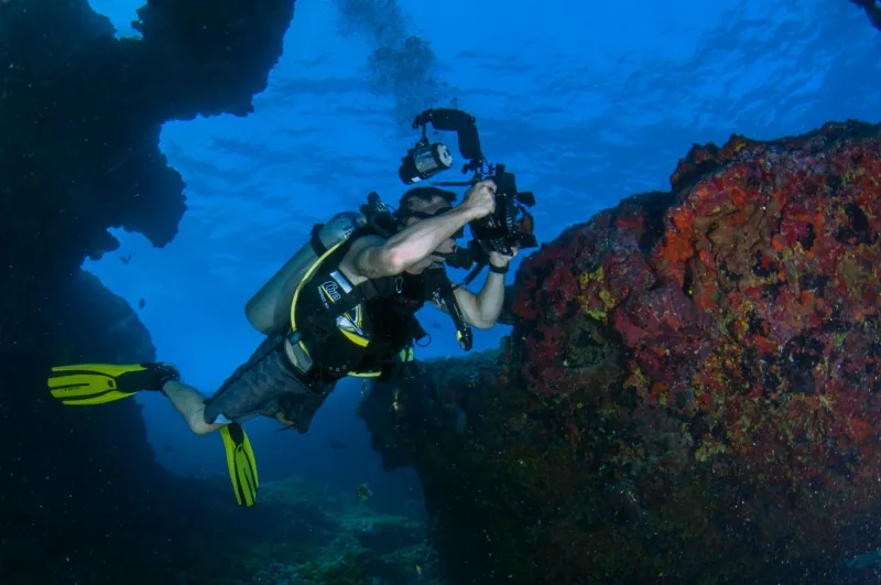 What's In Your Tank Is Messing With Your Shots: The Photographer's Guide to Breathing Gas and Cognitive Performance at Depth