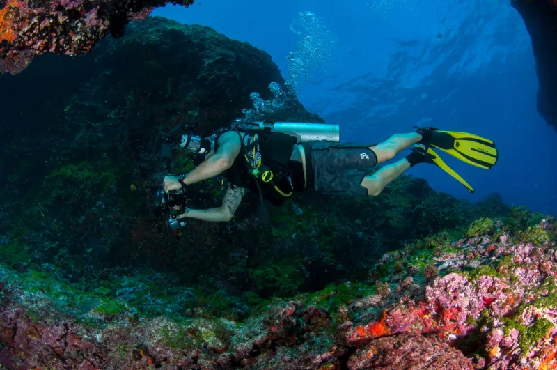 Hover First, Shoot Second: The Hidden Cost of Dragging a Camera Through a Dive
