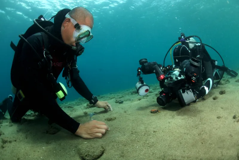 Think Small: How Macro Photography Transforms the Way You See the Reef