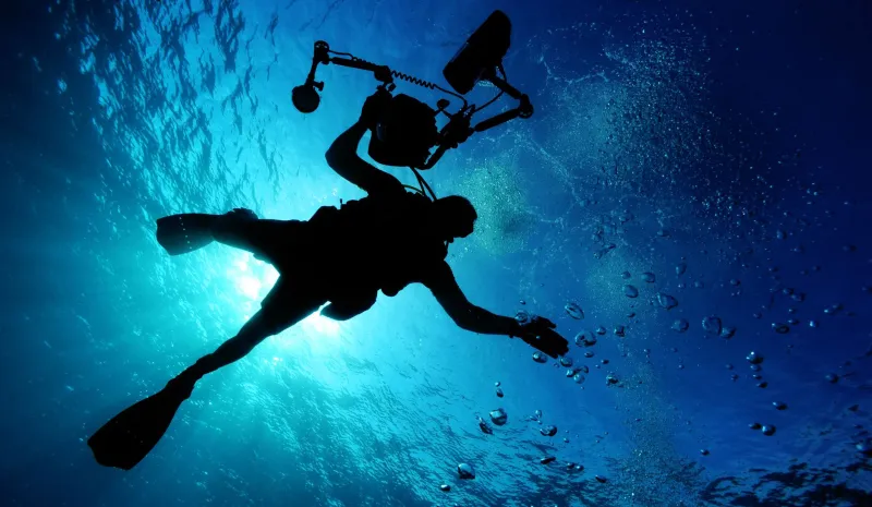 Mirrorless vs. DSLR Underwater: Why the Old Guard Is Running Out of Time