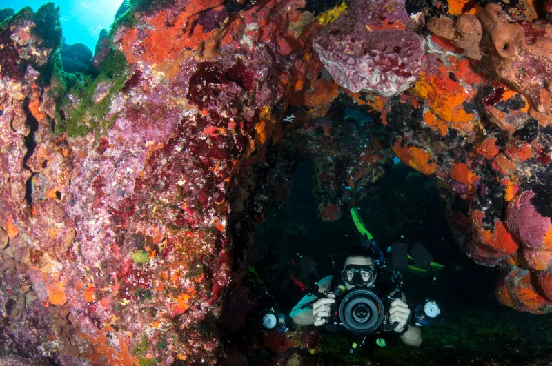 When Your Strobes Stop Listening: Fixing the Sync Problems That Are Killing Your Underwater Shots