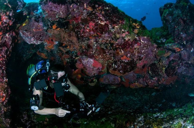 Big Glass, Tight Squeeze: When Your Wide-Angle Rig Becomes Your Worst Enemy on the Reef